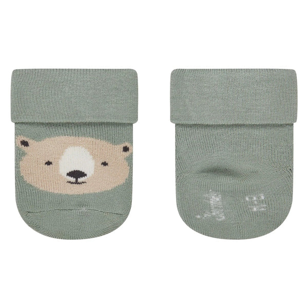 Lot de 3 paires de chaussettes bébé Ourson – 2 coloris & uni – 2/3 mois STERNTALER