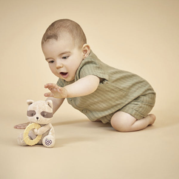 Peluche anneau de dentition bébé – Raton laveur