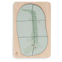 Puzzle en bois Crocodile Jungle Jambo – 6 pièces – Jollein