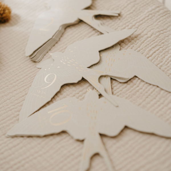 Cartes étapes Birds