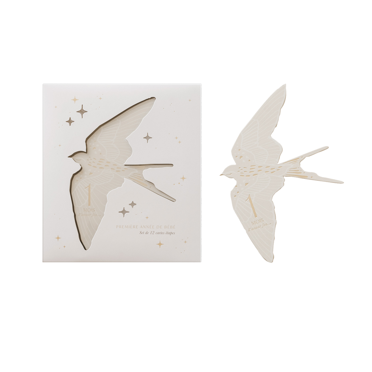 Cartes étapes Birds