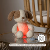 veilleuse bébé, veilleuse peluche, veilleuse chien, peluche lumineuse, lampe de nuit bébé, veilleuse rechargeable, Nattou, cadeau naissance, Petit Coeur Salé