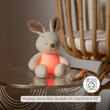 Veilleuse peluche lapin Teddy beige, douce et rassurante. Lumière à deux intensités, rechargeable USB et housse lavable. Parfaite pour apaiser bébé la nuit.