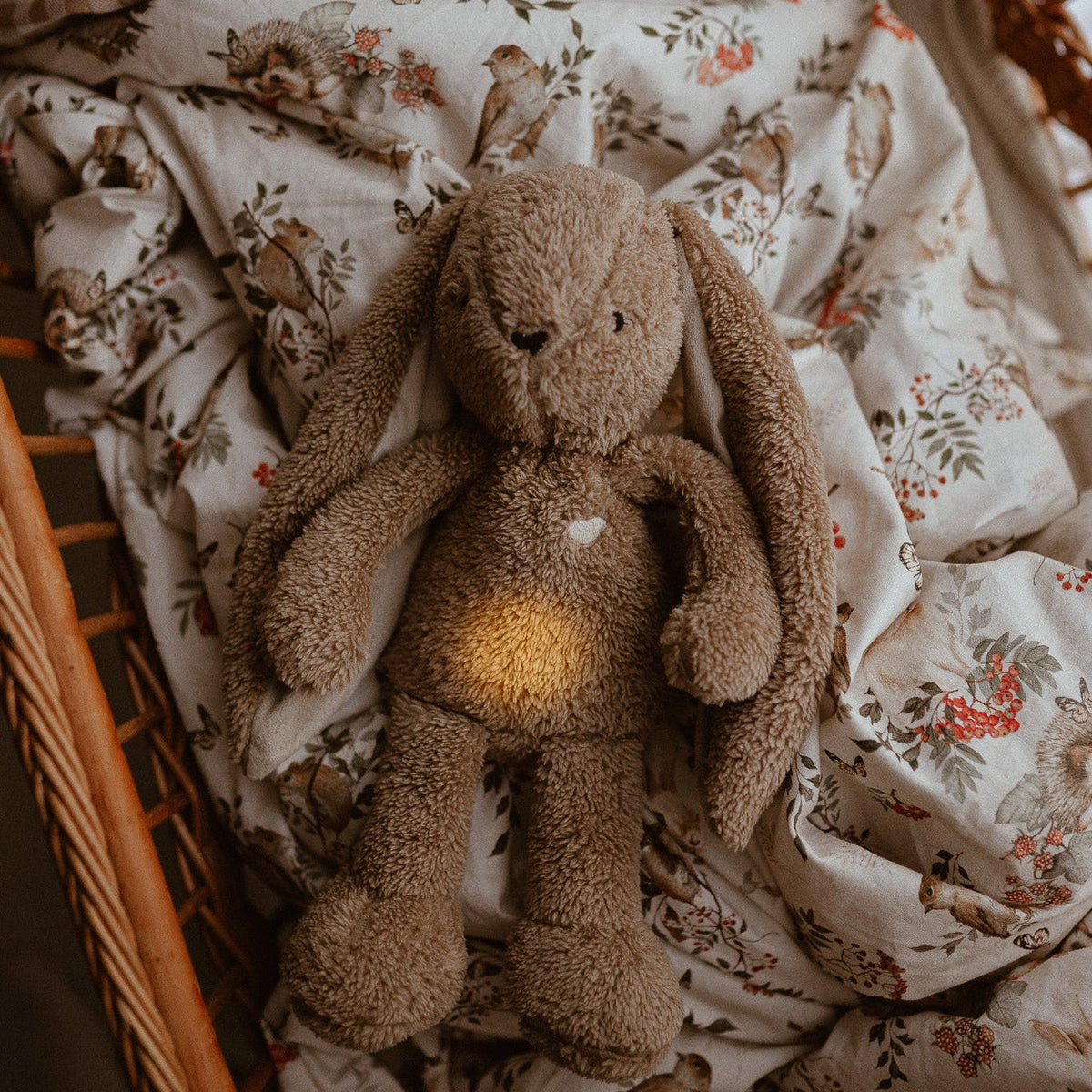 MyHummy Lapin marron 5en1 veilleuse MUHYMMY